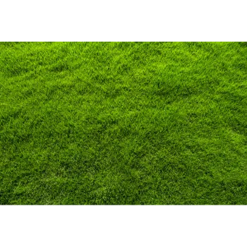 Natural Grass